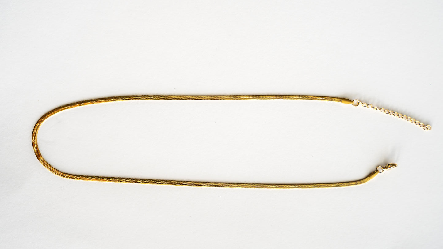 Timeless Necklace - NC306045G