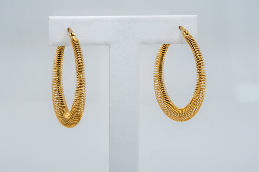 Spiraling Hoops - EA525801G