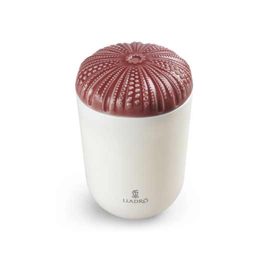Echoes of Nature Candle. Mediterranean Beach REF: 1040147