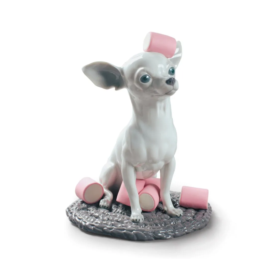Chihuahua with Marshmallows Dog Figurine REF: 1009191