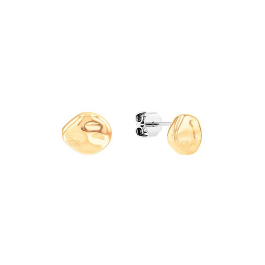 Calvin Klein Earrings Ref : 35000117
